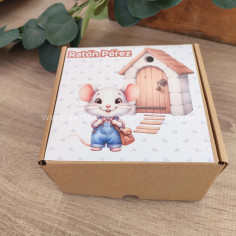 Caja sorpresa Ratón Pérez 2