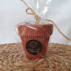 Regalo Maceta Terracota... 2