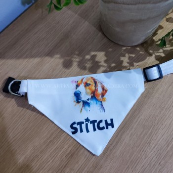Correa Collar Banderin Perro 2