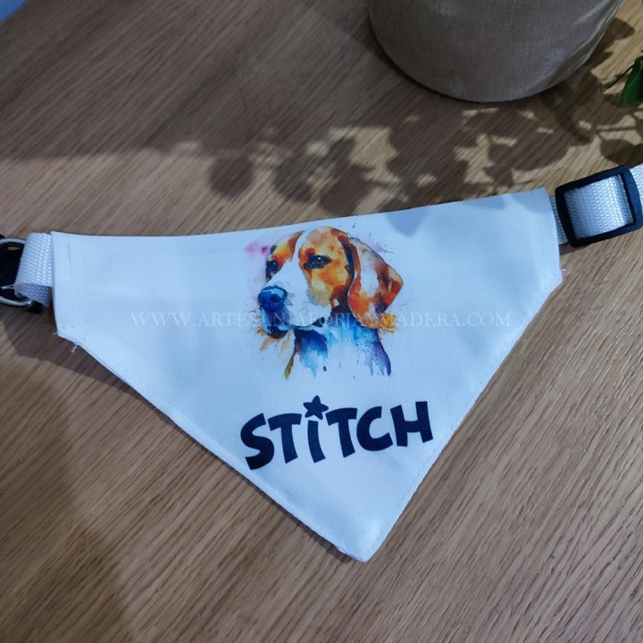 Correa Collar Banderin Perro