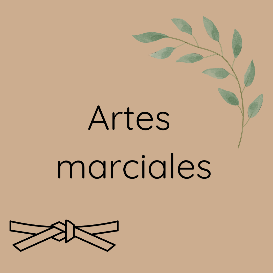 Artes Marciales