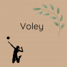 Voley