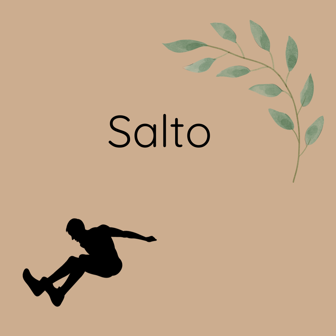 Deportes de salto