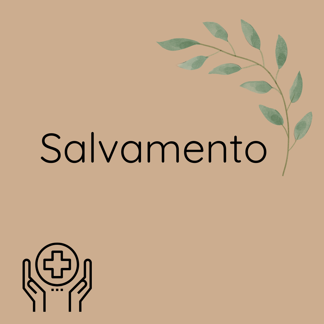 Salvamento